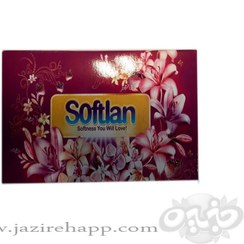 تصویر سافتلن دستمال کاغذی ۳۰۰ برگ سری باغ بهشت(نجم خاورمیانه) 