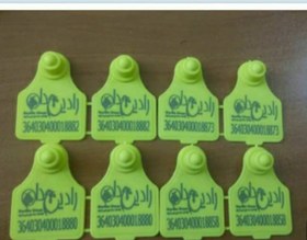 تصویر پلاک گوش دام سبک و سنگین 