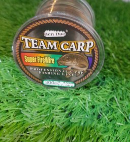 تصویر نخ ماهیگیری کارپ ۳۰۰ متری سایز ۰.۴۵ میلیمتر TEAM CARP