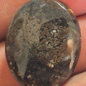 تصویر شجر مشکی سایز مدالی Shajar paize