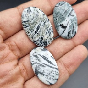 تصویر پک ۳ عدد جاسپر 