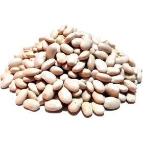 تصویر لوبیا سفید 