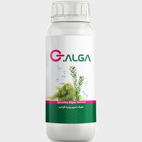 تصویر جلبک دریایی G. Alga 