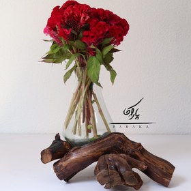 تصویر گلدون چوب‌شیشه 