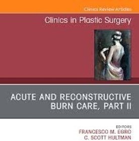 تصویر مجله Clinics in Plastic Surgery 