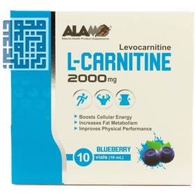 تصویر ویال خوراکی ال کارنیتین 2000 آلامو 10 عدد - طعم: بلوبری - تعداد در بسته: 10 Alamo L Carnitine 2000 10 Vials