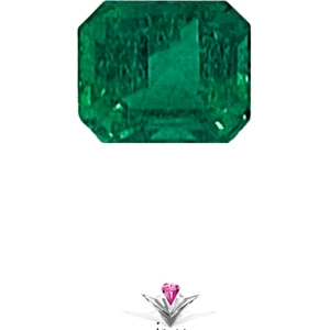 تصویر فروشگاه جواهری حقانی