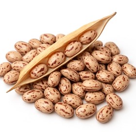 تصویر لوبیا چیتی با پیله 