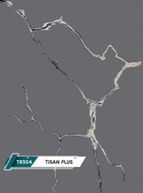 تصویر کورین تیسان کد TR504 