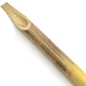 تصویر قلم خود رنگ شمالی 