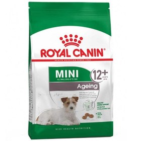 تصویر غذای خشک سگ مسن نژاد کوچک رویال کنین - Royal Canin Mini Agenig 