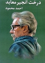 تصویر کتاب درخت انجیر معابد اثر احمد محمود ۲ جلدی نشر معین 