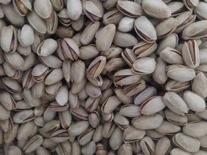 تصویر فروشگاه سینا شیراز