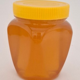 تصویر عسل دیابتی - 500 گرمی 