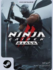 تصویر بازی NINJA GAIDEN 2 Black برای استیم 