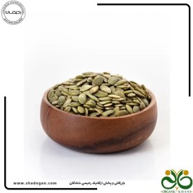 تصویر مغز کدو 