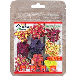 تصویر بذر گل حسن یوسف میکس سانیا سید مدل ss19 