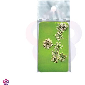 تصویر گل خشک شوکران 