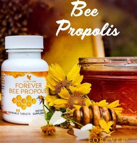 تصویر بی پروپلیس Bee propolis