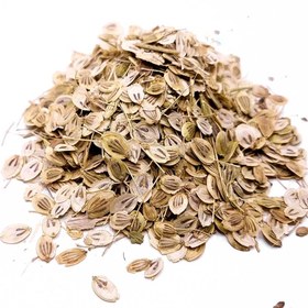 تصویر خردل - 100 گرم / نمک پاش 