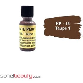 تصویر رنگ تاتو کی پی رنگ خاکستری قهوه ای شماره Kp-18 Taupe 