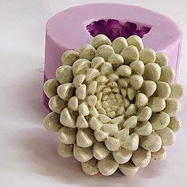 تصویر قالب سیلیکونی گل کوکب 