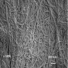 تصویر نانو الیاف سلولزی (نانو فایبر سلولز) 50-20 نانو متر 