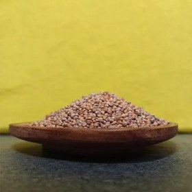 تصویر تخم تربچه 