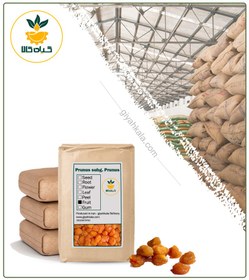 تصویر میوه آلو خشک فله 