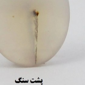 تصویر سنگ شجر کد 2395 