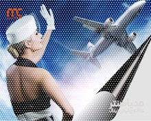 تصویر مش چسبدار 120میکرون اکوسالونت 