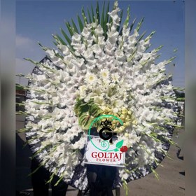 تصویر تاج گل سیما 