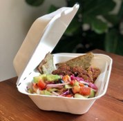 تصویر ظرف یکبار مصرف دو پرس فوم ۳۰۰ عدد 