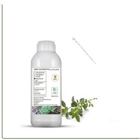 تصویر طعم دهنده آویشن خوراکی 