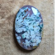 تصویر شجر بهاره قواره دار زیبا 