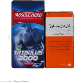 تصویر پک تقویت جنسی آقایان 