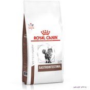 تصویر غذای خشک گربه گسترواینتستینال رویال کنین با وزن 2 کیلوگرم Royal Canin Gastrointestinal 2Kg