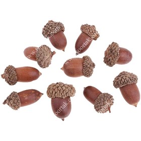 تصویر بلوط تزئینی 10 عددی STY375 