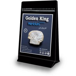 تصویر قارچ یال شیر ۱۰۰ گرمی 