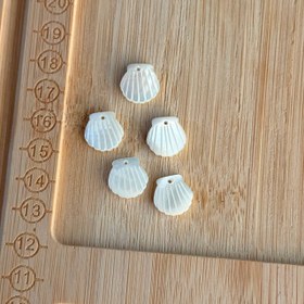 تصویر خرجکار صدفی 