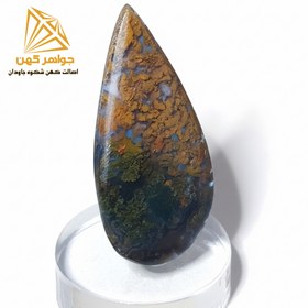 تصویر شجر پاییزی (کد ۳۸) 