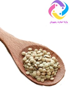 تصویر عدس روس 