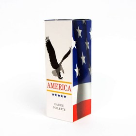 تصویر ادو تویلت مردانه آمریکا AMERICA Men's Eau de Toilette