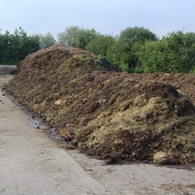 تصویر کود بلدرچین ( خشک - تر) 