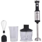 تصویر گوشتکوب برقی حرفه ای دسینی ایتالیا ۴کاره گوشتکوب برقی ۴کاره دسینی ۶۵۲۲ گوشتکوب برقی ۶۵۲۲ دسینی گوشتکوب برقی دسینی DS-6522 Dessini Hand Blender set 4 in 1