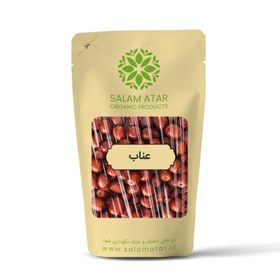 تصویر عناب تازه 