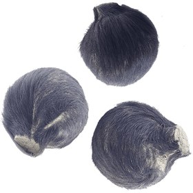 تصویر مشک سیاه (مشک ختن) 