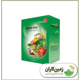 تصویر آمینو ZFM 