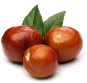 تصویر نهال عناب ژاپنی 