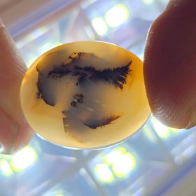 تصویر نگین شجر معدنی 